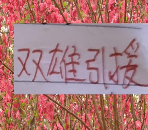 中超帶刀邊后衛(wèi)都集中在海港成都申花三球隊里面