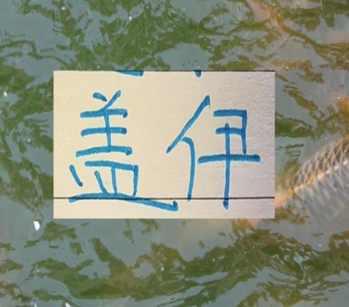 申花也是找到比馬萊萊更厲害的前鋒蓋伊踢中超足夠了