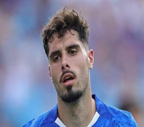 太陽報(bào)：內(nèi)托遭到切爾西球迷網(wǎng)暴，他和帕爾默互不傳球是謠言