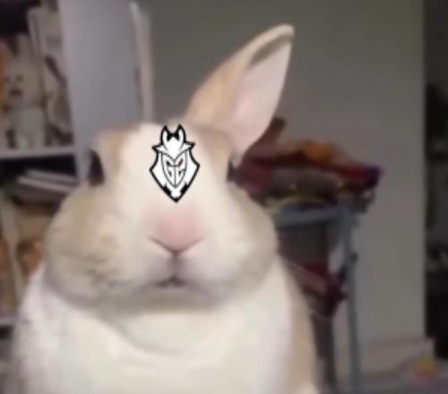 Bin語從句已學會G2官博發文：過年偷偷比賽卷死你們