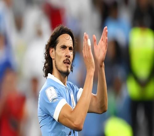 津門(mén)虎2月13日官宣重要決定，球迷為此收到新春大禮，值得期待