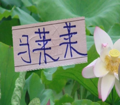 強度拉滿開局！申花首輪就要見馬萊萊3月轉正的難度可能性沒了