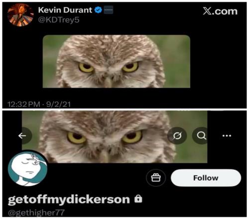 杜蘭特大號與疑似小號共用同一張貓頭鷹圖片引發關注_NBA直播