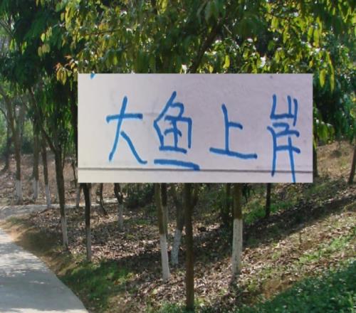 去年中超前5大魚都上岸北京國安是德甲大貨海港是本土標王