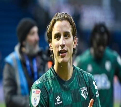 回歸球場，曾心臟驟停的博韋代表沃特福德替補出場