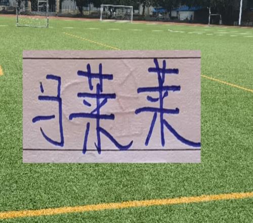 大連英博也是猛！早早開啟申花備戰！馬萊萊能現身八萬人體育場嗎