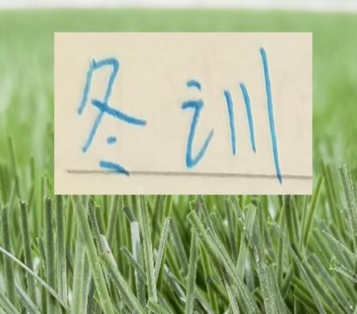 相比成都蓉城天堂開(kāi)局！北京國(guó)安跟申花的開(kāi)局需要更多硬氣