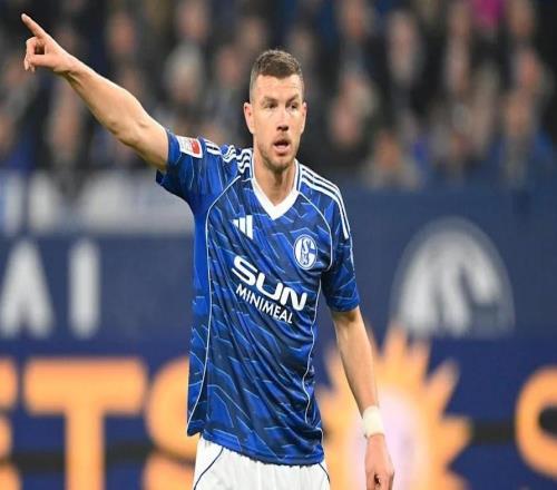 哲科：金錢非我所求，帶領沙爾克04重返德甲才是夢想