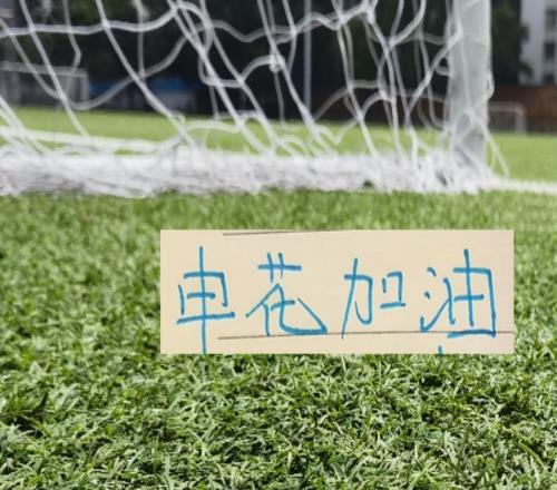 申花今年前5對(duì)手都在猛補(bǔ)！大連有馬萊萊還不夠還有豪華配置