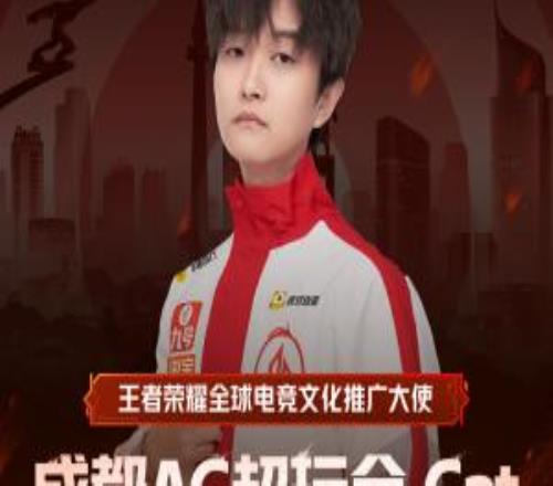 Cat發文退役：很開心十年青春在賽場拼搏，下一個十年賽場見