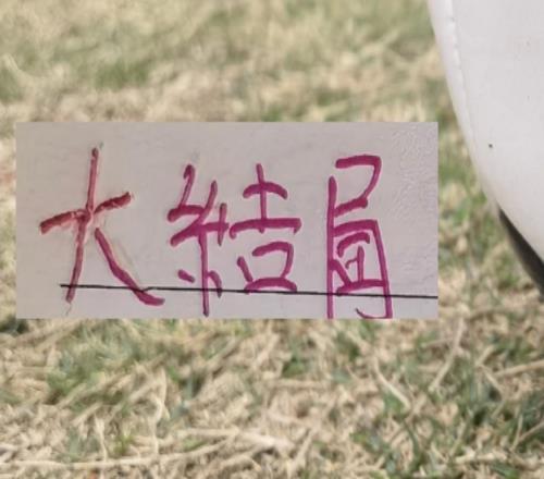 海港引援也基本大結(jié)局！新人里面誰才是真正大腿