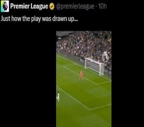 英超官方視頻疑似嘲諷維卡里奧，經球迷和熱刺抗議后刪除