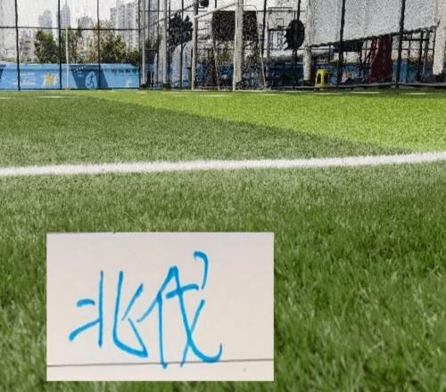 申花北伐開始!三月首戰馬萊萊今年要開香檳有點困難了!