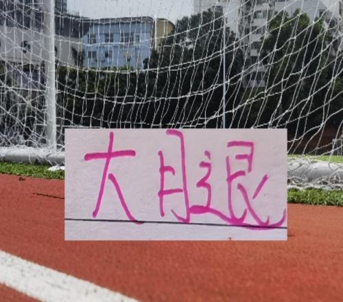 遼寧鐵人外援身價(jià)比賽申花、海港還要高還有少見日本球員