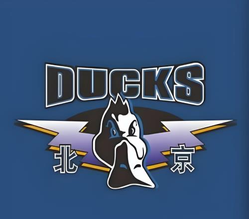 天價(jià)合同！北京隊(duì)曾給1球員開(kāi)出了700萬(wàn)美元的工資