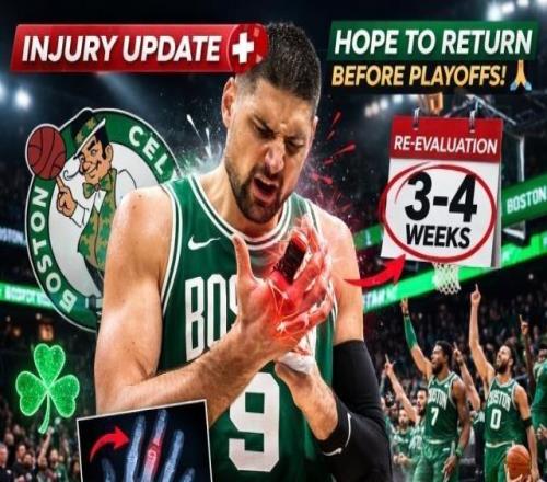 武切維奇完成手指手術有望在季后賽前回歸