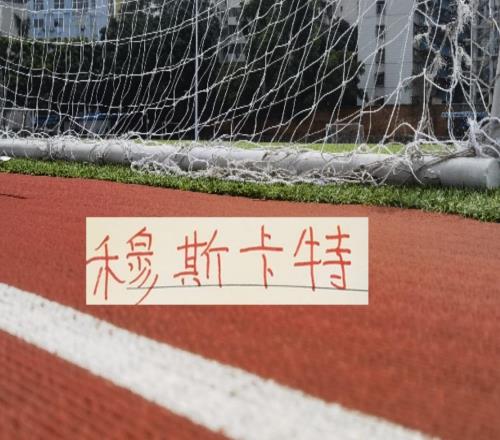 澳波系球隊就海港穆帥沒有贏球!北京國安發飆+張玉寧好猛!