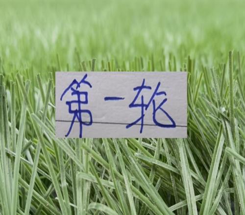 第一輪能橫著走三大中鋒申花是蓋伊山東是克雷桑成都是費(fèi)利佩