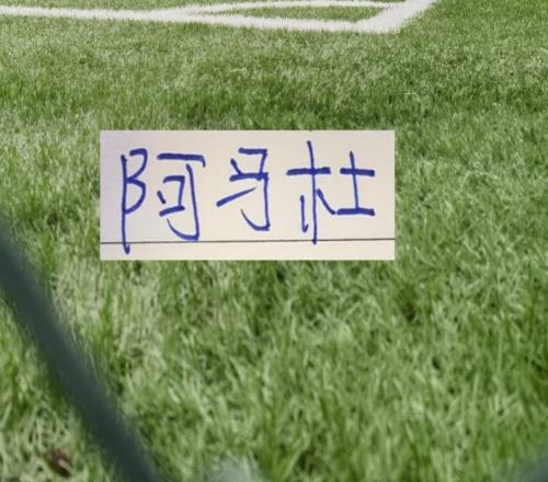 第一輪外援中場大腿沒想到前申花外援阿馬杜回春了！