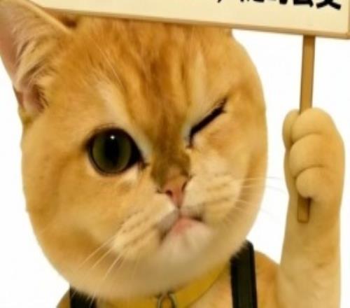 LPL爆料人：BLG二隊(duì)上單加入iG，iG輔助Meiko、Jwei二選一，呼吸暫時(shí)休息