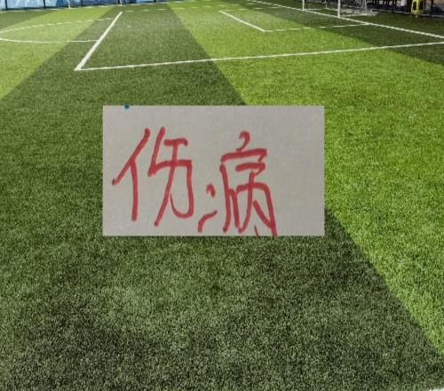 傷病更新！奪冠熱門海港申花北京國安成都都有傷員