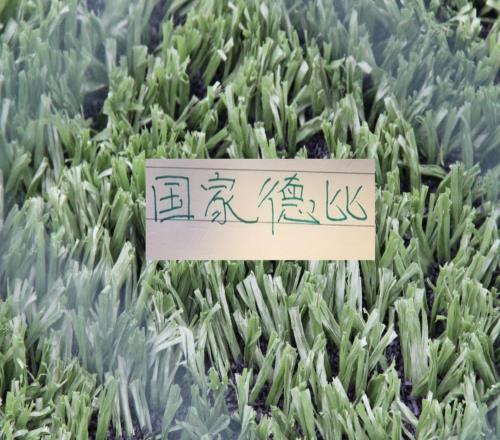 北京國安和申花算不算中超國家德比畢竟30多年聯賽冠軍累計2次