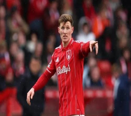 費迪南德:曼聯應該優先簽下安德森,而不是吉馬良斯和托納利