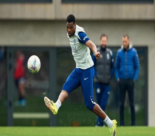 緊鑼密鼓，備戰(zhàn)紫百合