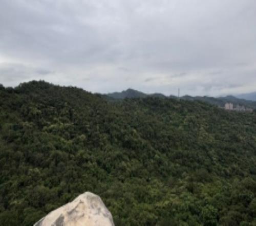 Shad0wo分享生活照:團建爬山日,依舊是體力最差的