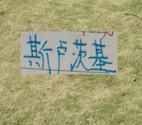 玩體系打轉換！前俄教練還是有一手