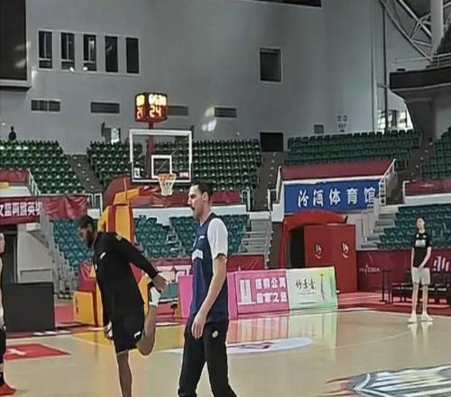 山東高速男籃"及時雨"到位！斯蒂爾火線馳援展現球隊進取心