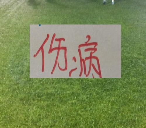 申花間歇期重要不是7球員不在而是6主力趕緊康復