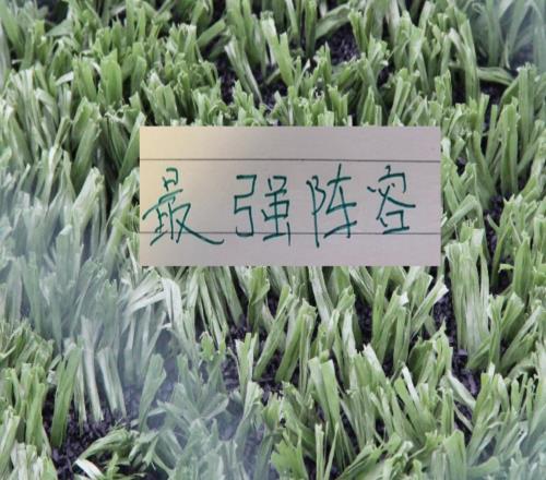 北京國安達萬、塞鳥等一批傷員現身訓練場最強陣容要來了