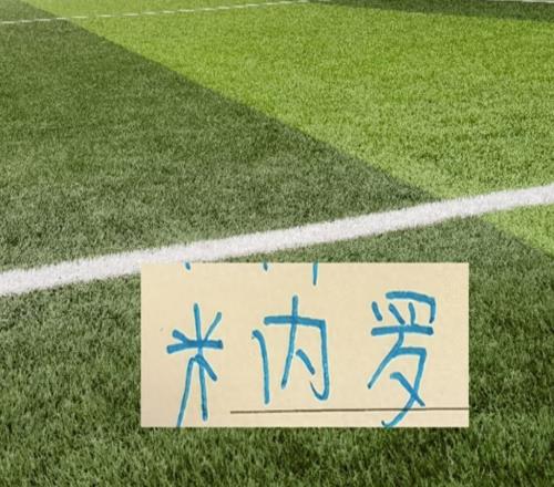 是負分清零難還是集齊五外援難申花米神也打工人天花板