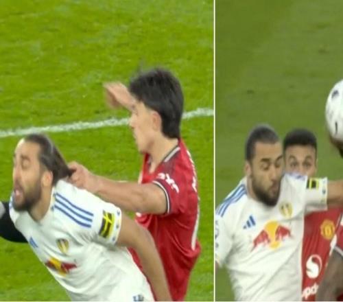 費迪南德轉發利馬和勒溫犯規對比圖，并裁判公司要求解釋