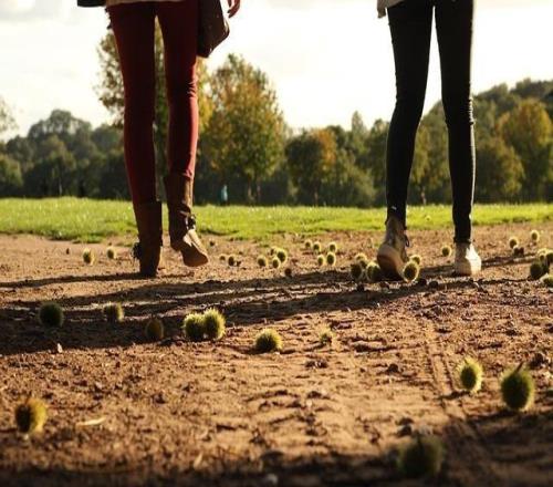 森林隊殺進歐聯四強，卻為三傷員埋單