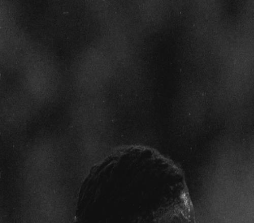 卡馬文加社媒：我承擔(dān)我應(yīng)負(fù)的責(zé)任，向球隊(duì)和皇馬球迷們道歉