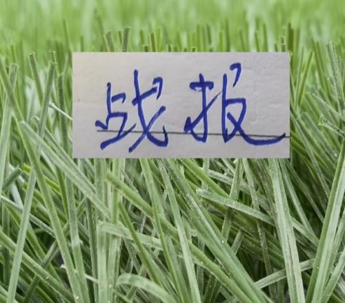 成都繼續(xù)連勝前申花第一獸腰阿馬杜帶領(lǐng)球隊(duì)保持不敗