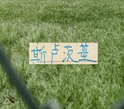 20分鐘全華班！剛丟1球！中超問誰能做到！申花司機也敢玩大的