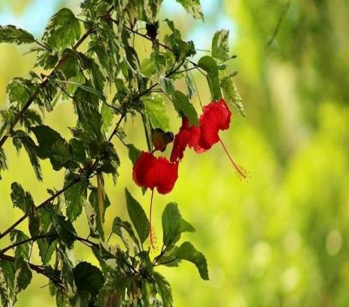 皇馬住四星酒店：球星們睡"經濟艙"那晚