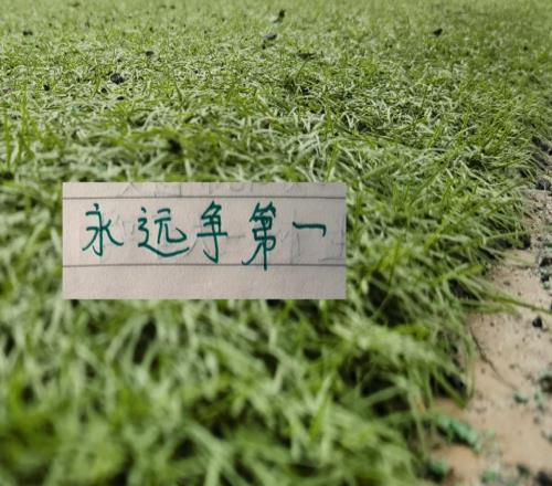 挖寶成功！申花跟重慶銅梁龍都精準在北京國安身上找到好球員