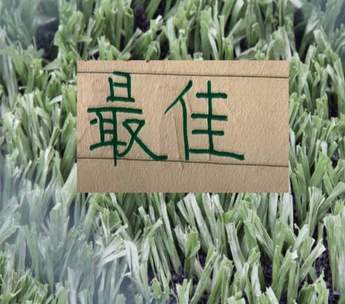 官榜來了！前7輪進(jìn)攻+助攻五強(qiáng)領(lǐng)頭羊有3人申花只有拉唐獨(dú)領(lǐng)