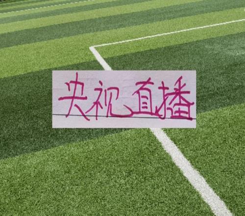 時間又撞上！中超第13輪CCTV直播成都VS海港跟大連比賽只能2選1