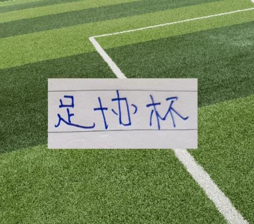 6月足協杯賽程出爐！中超豪門申花海港北京國安山東都是客場