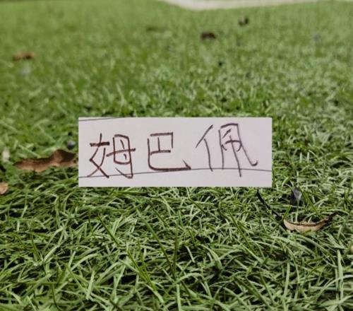 外媒評選：2026世界杯身價(jià)最高前10人沒有C羅