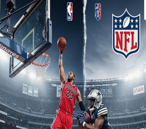 NBA總決賽球迷沖場求自拍遭終身禁賽