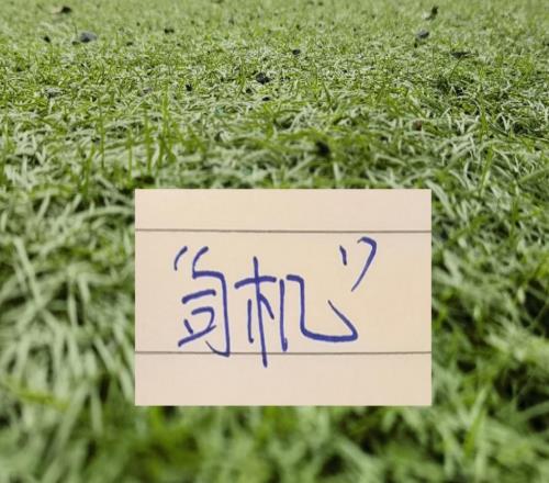 中超15輪下來，申花只是排第12名但舊賬不能算在“司機”身上