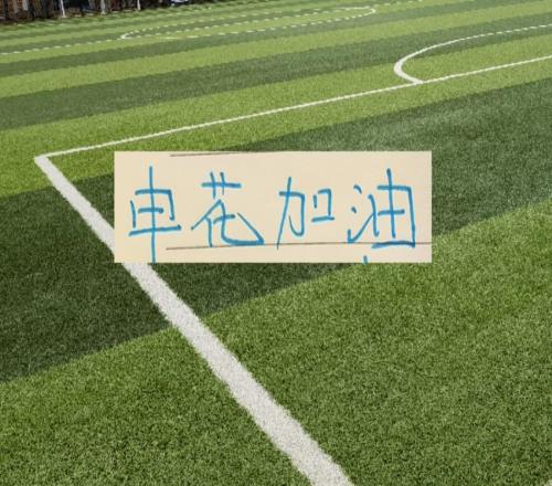 申花全隊身價中超第二！但成績并沒體現關鍵還是外援上場率太低