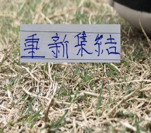 申花重新集結！足協杯+第16輪面對馬萊萊能迎來全勝戰績嗎