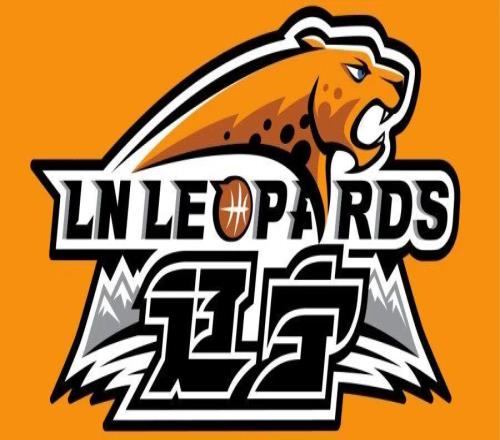 官方公告:关于辽宁沈阳三生飞豹篮球俱乐部主教练调整的通知